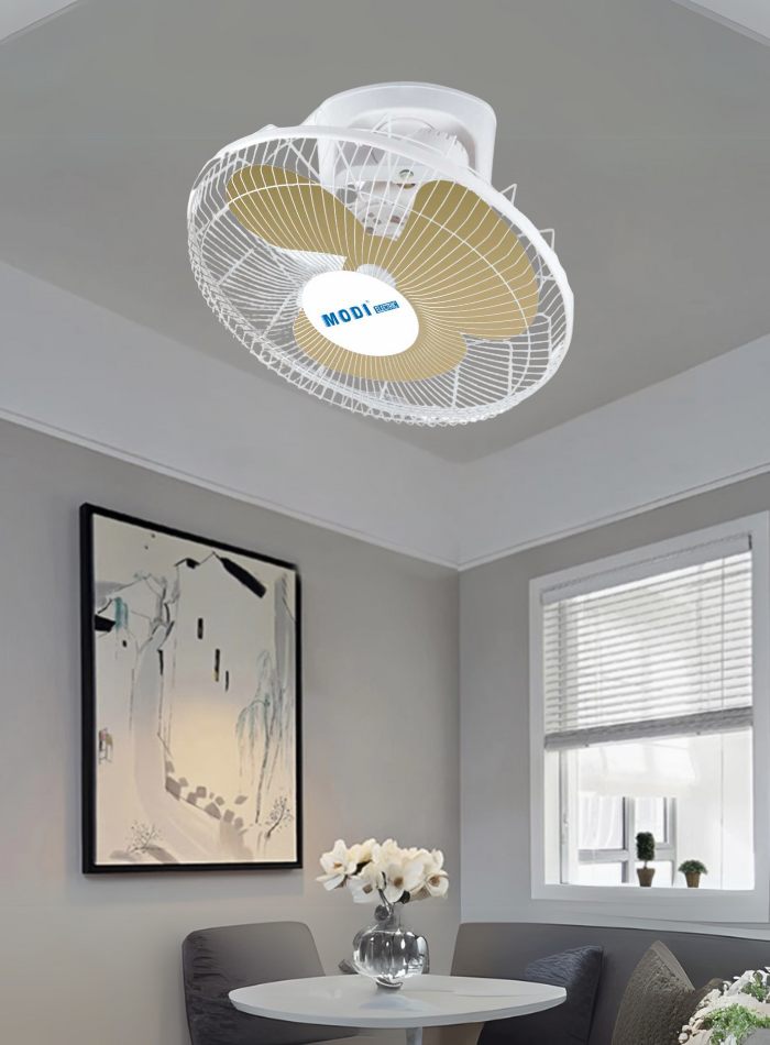 Ceiling Fan