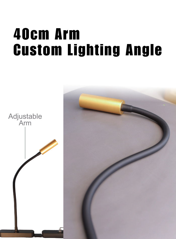 Adjustable arm LED spotlight, easily direct light to any angle, perfect for bedside or display