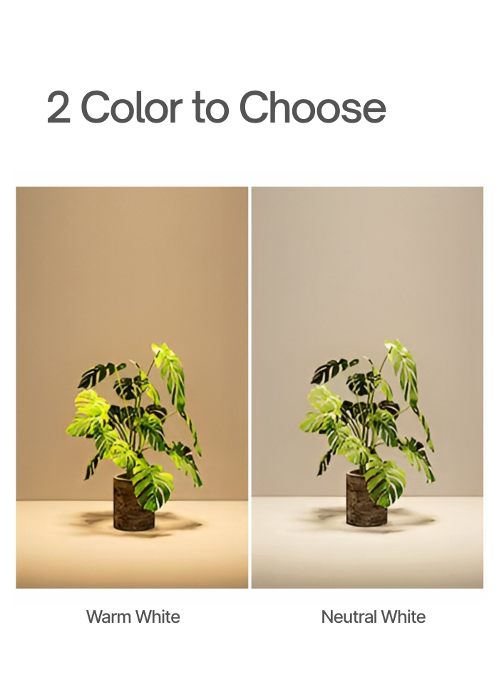 LED spotlight with dual light colors, warm white and neutral white for flexible lighting