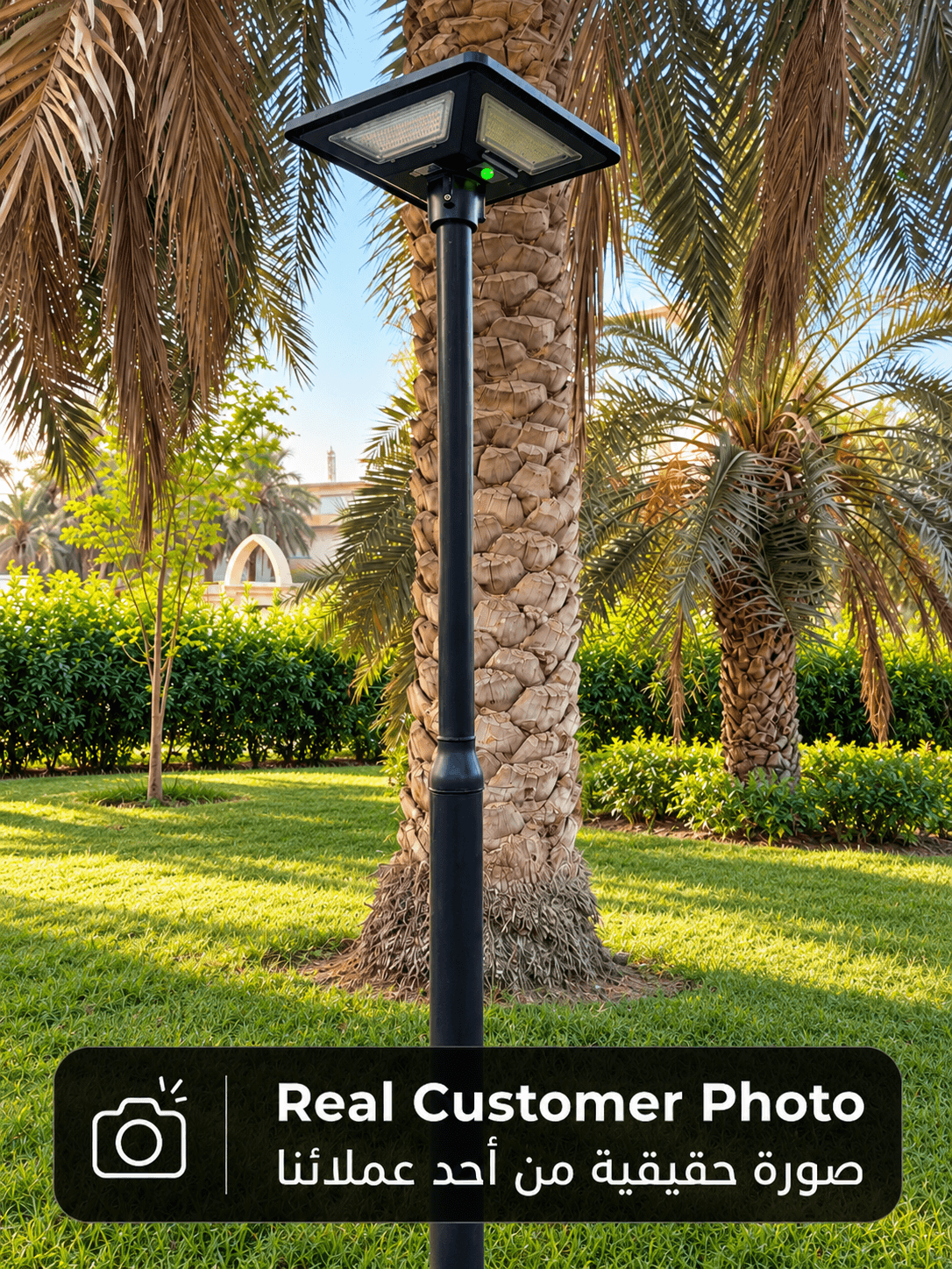 Real customer photo of a black solar LED garden pole light installed outdoors among palm trees in a Kuwait garden
