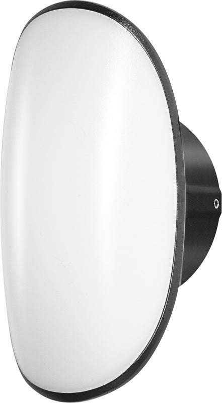 Oval LED wall light with a white diffuser and black aluminium body
